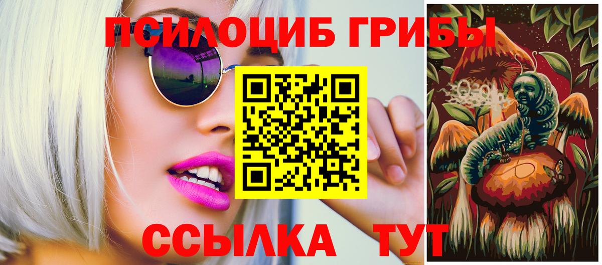 Псилоцибиновые грибы Psilocybe Сыктывкар
